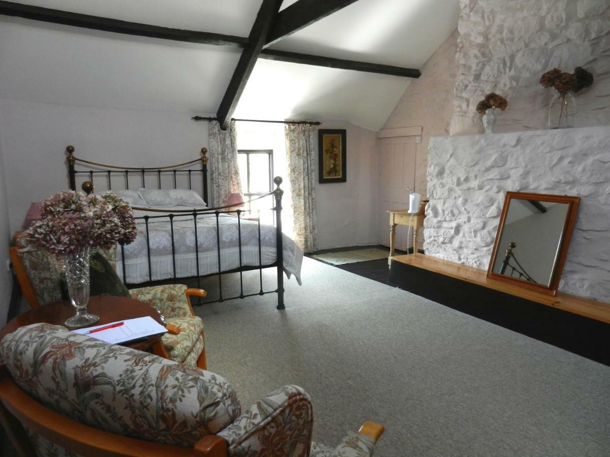 Cilwen Country House Bed And Breakfast Abernant エクステリア 写真