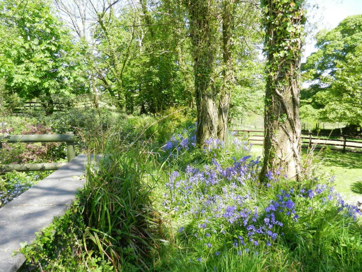 Cilwen Country House Bed And Breakfast Abernant エクステリア 写真